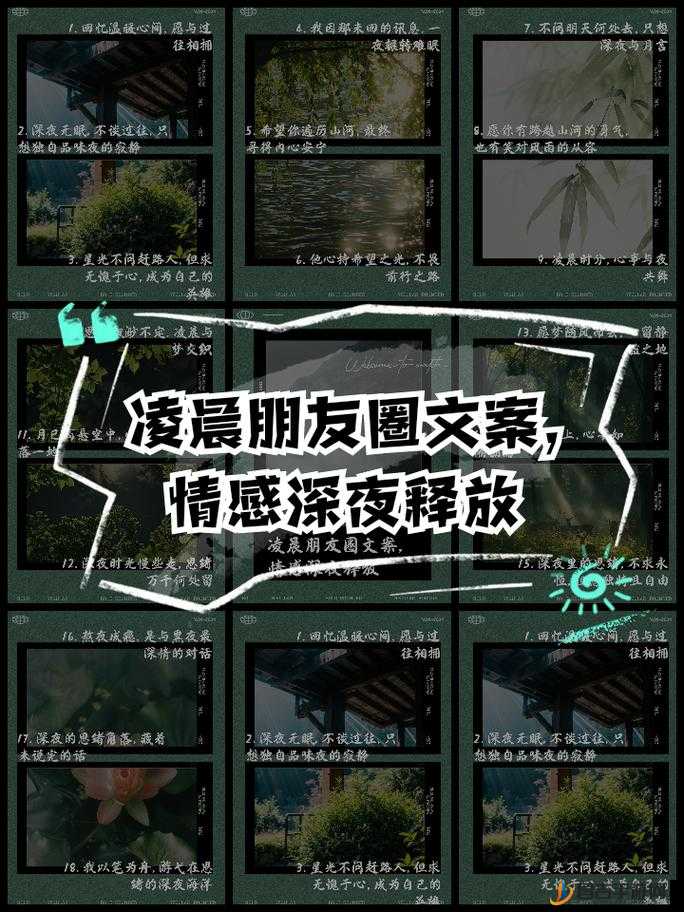 深夜释放自己高清版：尽情沉浸在自我的独特世界里